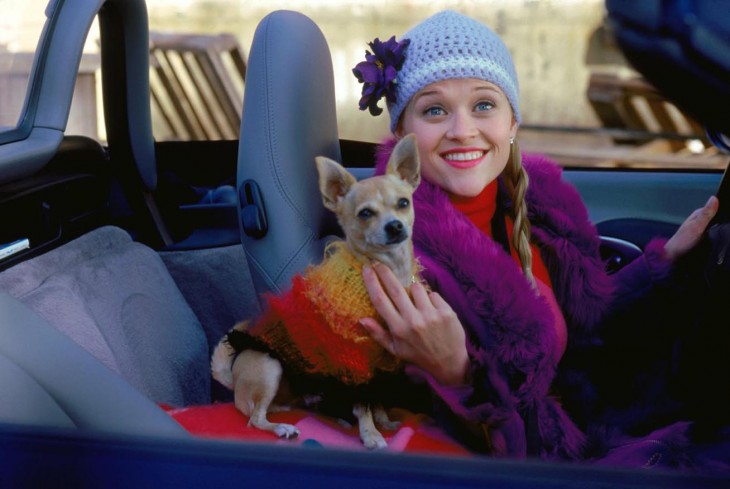 Screencap from Legally Blonde  courtesy of MGM